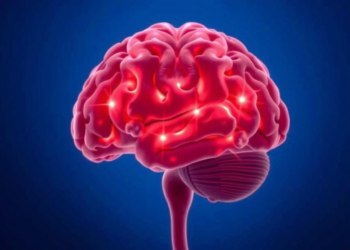 Blood Clot Tests Predict Brain Injury Outcomes, but Fall Short as Treatment Guides