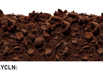 USDA-Funded Soil Scientist Probes Hidden Carbon Reservoirs Threatened by Climate Extremes