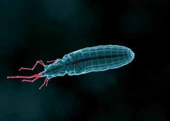 Parasite Immune Fingerprint Revealed in Strongyloides Infection Study