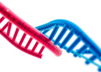 Genetic Study Pinpoints New Drug Targets for Common Mental Disorders