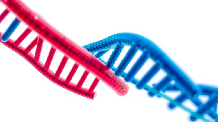 Genetic Study Pinpoints New Drug Targets for Common Mental Disorders
