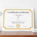 Auditable certificates measure client update value in personalized federated learning