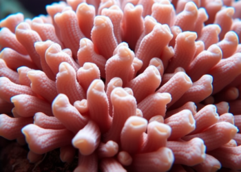 Borneo Soft Coral Reveals Antioxidant Chemistry in Deep Metabolite Scan