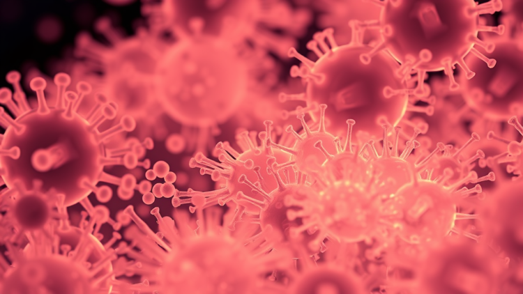 Engineered E. coli swarms record chemical and light inputs in visible patterns