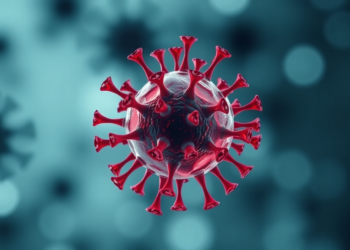 Natural Killer Cell Education Leaves Lasting Imprints on the Persistent HIV Reservoir
