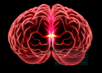 The Brain May Be Built From Two Separate Embryonic Lineages
