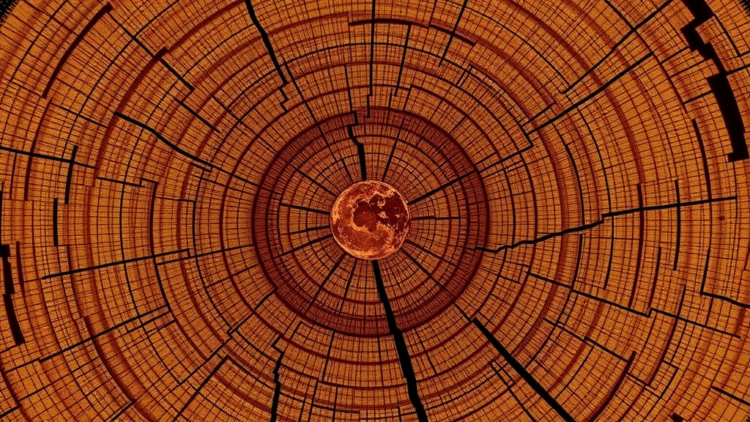 Tree Rings and Cosmic Rays Reveal a Thousand Years of Sunspot Cycles Without the Negative-Number Problem