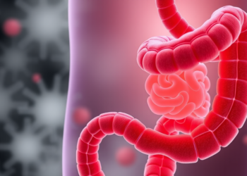 Vitamin B12 Deficiency Emerges as Hidden Burden in Gut Graft-Versus-Host Disease After Stem Cell Transplants