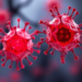 Cytotoxic CD4+ T cells drive aging-related myelopoiesis through CCL5–CCR5 signaling