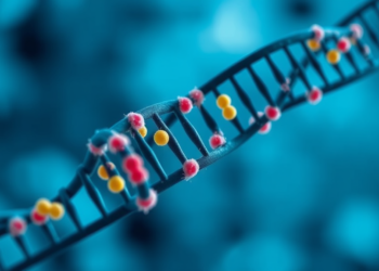 Chemical Tags on mRNA Keep Pancreatic Alpha Cells From Turning Into Beta-Like Cells