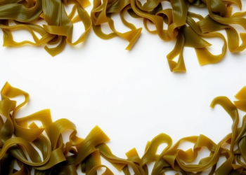 Seaweed Is Quietly Reshaping Global Farming, and the Science Is Catching Up Fast