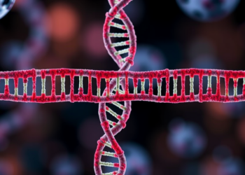 How Cells Choose Between DNA Repair Pathways—and Why It Matters for Cancer