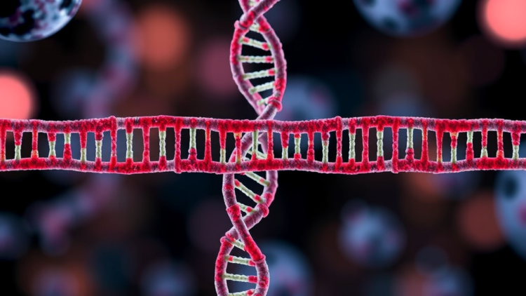 How Cells Choose Between DNA Repair Pathways—and Why It Matters for Cancer