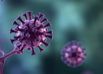 Viral HBX Protein Drives Immune Exhaustion in Liver Cancer Through MIF Signaling