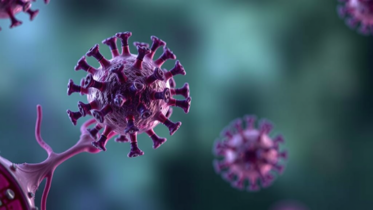Viral HBX Protein Drives Immune Exhaustion in Liver Cancer Through MIF Signaling