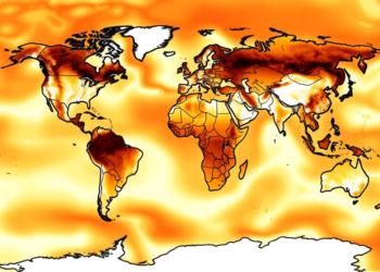 Global Drought Trends Reveal No Detectable Recent Acceleration Under Warming