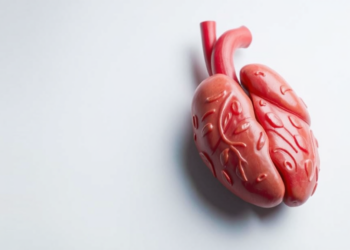 Low-Dose Steroids, Not Vasopressin, Linked to More Organs From Brain-Dead Donors