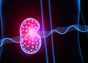 Invisible Epigenetic Shadow: DNA Methylation Field Effect Detected Around Kidney Tumors