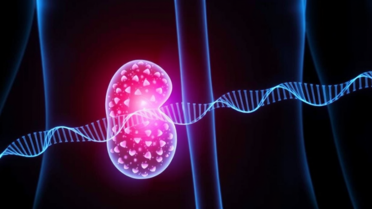 Invisible Epigenetic Shadow: DNA Methylation Field Effect Detected Around Kidney Tumors