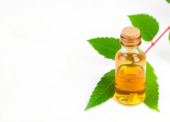 Betel Leaf Essential Oil Reverses Antibiotic Resistance in Staphylococcus aureus in Laboratory Study