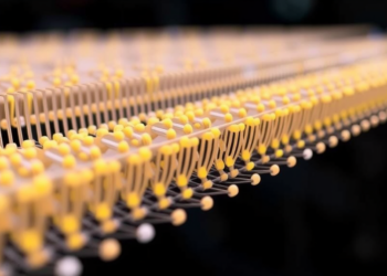 Engineered nanopore reads amino acids, sugars, peptides and nucleotides at once