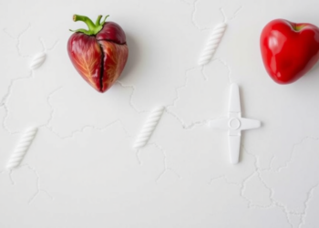 Poor Diet May Speed Up Biological Aging, Raising Heart Disease Risk, UK Biobank Study Finds