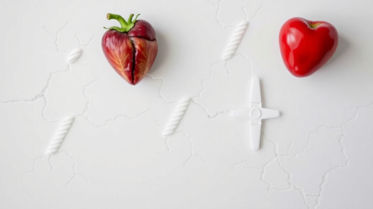 Poor Diet May Speed Up Biological Aging, Raising Heart Disease Risk, UK Biobank Study Finds