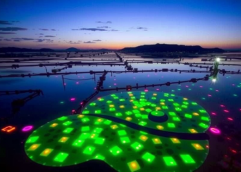 UV-Mutated Salt Lake Bacterium Triples Lipase Output for Greener Industry