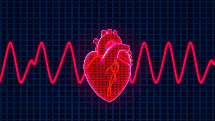 Lightweight Hybrid AI Reads Heart Rhythms With Over 99% Accuracy and Adapts to Each Patient