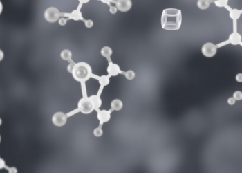 Cyclodextrin Doubles as Structure Builder and Antioxidant Shield in Soy Protein Oral Films