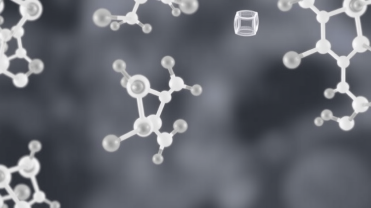 Cyclodextrin Doubles as Structure Builder and Antioxidant Shield in Soy Protein Oral Films