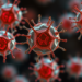 Infected Nurse Cells Sabotage Egg Development Through Inflammatory Signals