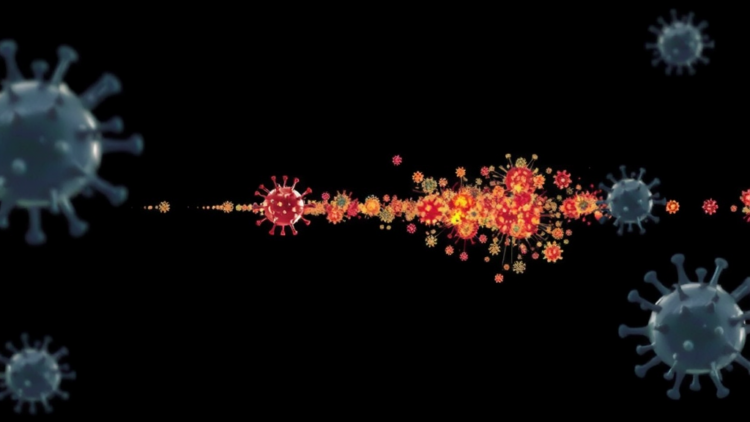 Delphy Brings Near-Real-Time Bayesian Phylogenetics to Outbreak Response