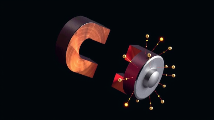 Quantum Magnet Reveals Spinons That Split and Triplons That Bind