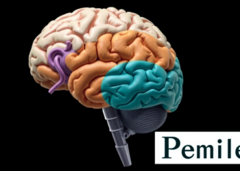 New Four-Axis Framework Maps the Hidden Diversity of Atypical Alzheimer’s Disease