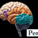 New Four-Axis Framework Maps the Hidden Diversity of Atypical Alzheimer’s Disease