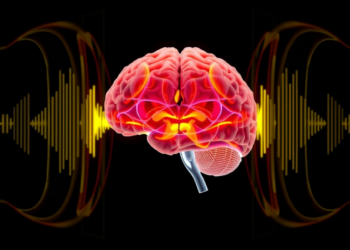 AI Model Predicts How We Remember Emotional Experiences Using Brain Signals