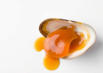 Common Caramel Food Colourant Damages Mussel Gills and Guts in New Study