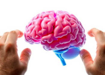 Exercise Hormone Irisin Reveals a Complete Molecular Route From Muscle to Brain Protection in Alzheimer’s Disease