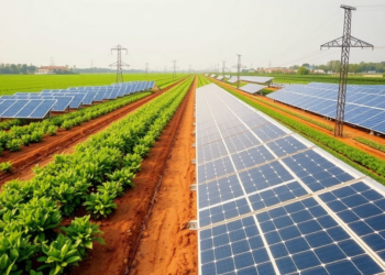 Smarter Solar Farm Layouts Boost Crops and Power Together