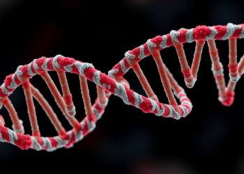 Folded DNA Structures in the Hepatitis B Genome Steer Viral Gene Expression