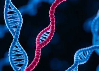 Gene Amplifications, Not Mutation Load, Mark Poor Survival in Aggressive Bladder Cancer