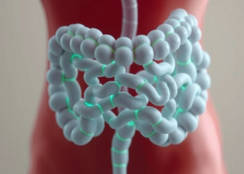 Early-Life Arsenic Exposure Reshapes the Gut Microbiome in Sex-Specific Ways