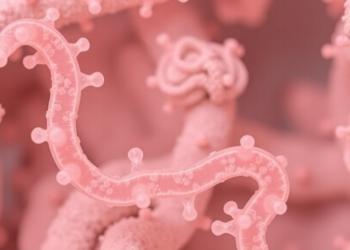Hot Spring Bacterium Yields Heat-Stable Amylase With Industrial Promise