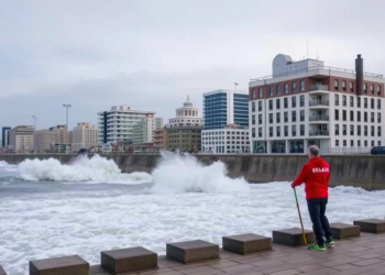 Tsunami-planning platform passes real-world test with Chilean city officials