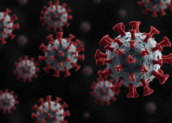 Targeted SAP Domain Mutations Weaken Foot-and-Mouth Disease Virus Virulence