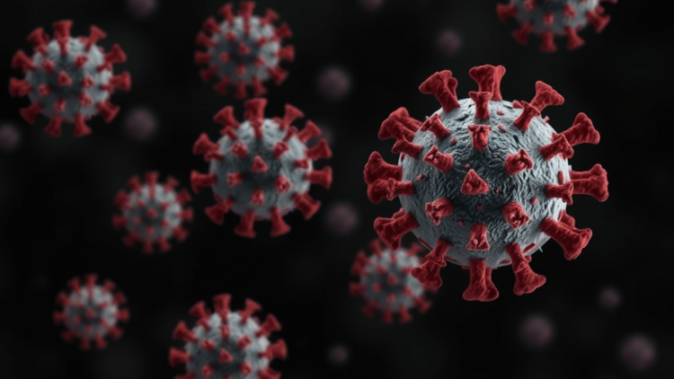 Targeted SAP Domain Mutations Weaken Foot-and-Mouth Disease Virus Virulence