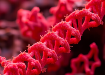 Heat-Loving Bacterium Reveals Genetic Secrets for Turning Plant Waste Into Fuel