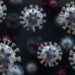 Engineered Herpes Viruses Show Modest but Meaningful Gains Against Solid Tumors