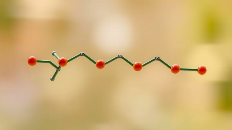 Enzymatic Prenyl Demethylation Drives Allene and Alkyne Formation in Nature